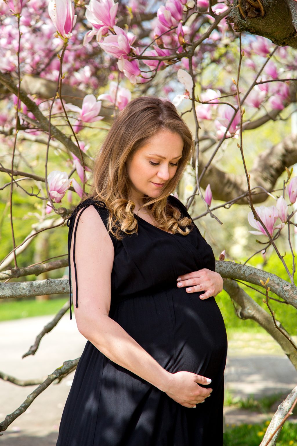 Babybauchshooting von Sarah Seiler Fotografie Eine schwangere Frau steht unter einem Magnolienbaum und Sarah Seiler Fotografie hält diesen Moment fest.