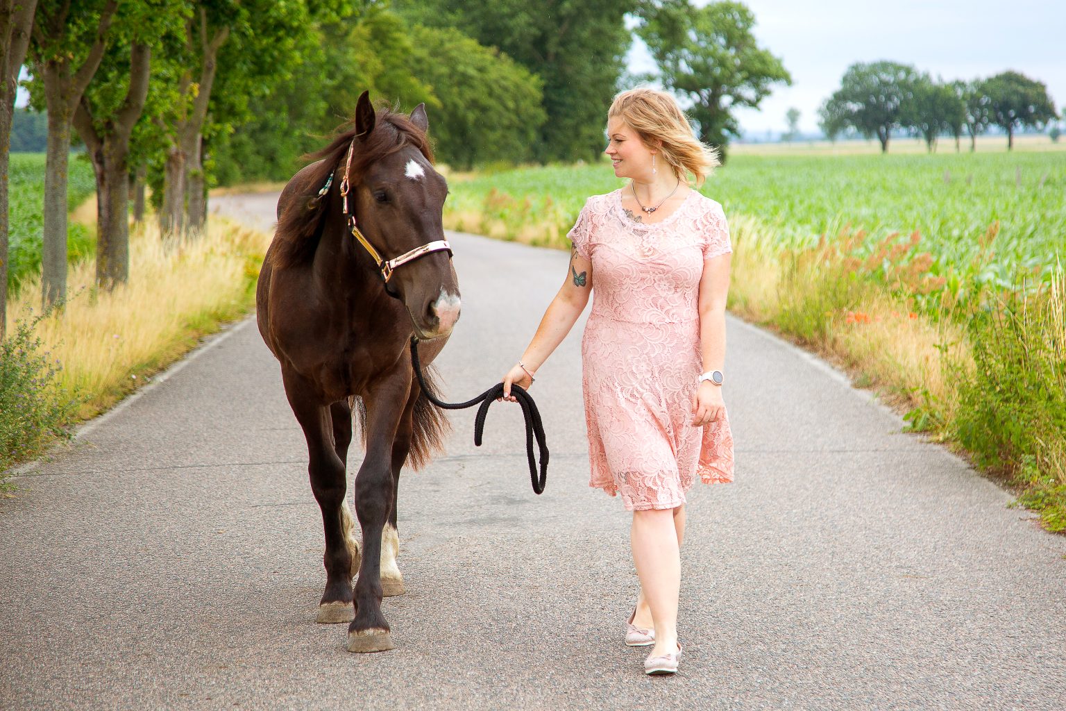 Tierfotografie von Sarah Seiler Fotografie Ein Paar führt ein Pferd auf einer Landstraße und Sarah Seiler Fotografie fotografiert sie.