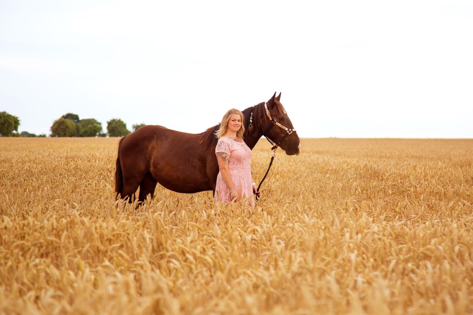 Tierfotografie von Sarah Seiler Fotografie Eine Frau steht mit ihrem Pferd in einem Kornfeld und Sarah Seiler Fotografie hält diesen Moment fest.
