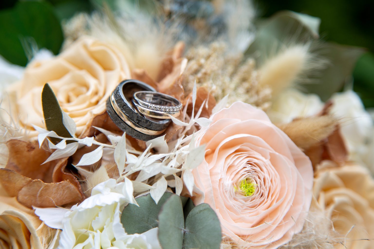 Hochzeitsfoto von Sarah Seiler Fotografie Zwei Eheringe liegen auf Rosen und Sarah Seiler Fotografie fotografiert dieses Detail.